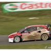 DSC_8218 Kopie_bearbeitet-1